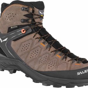 Ms Alp Trainer 2 Mid Gtx Salewa